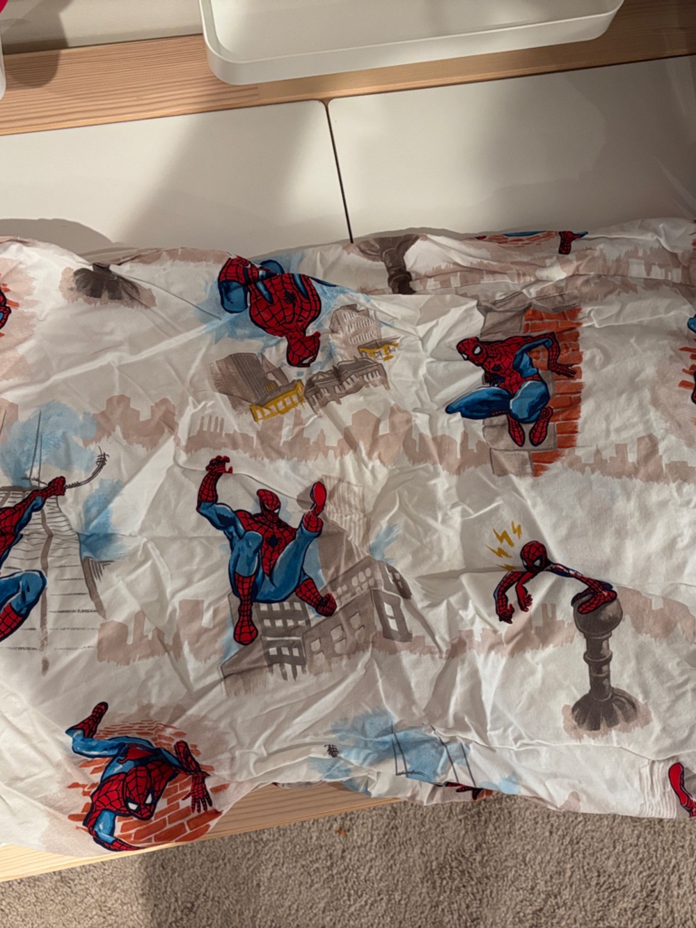 Pottery Barn Kids Pillow cases (2)